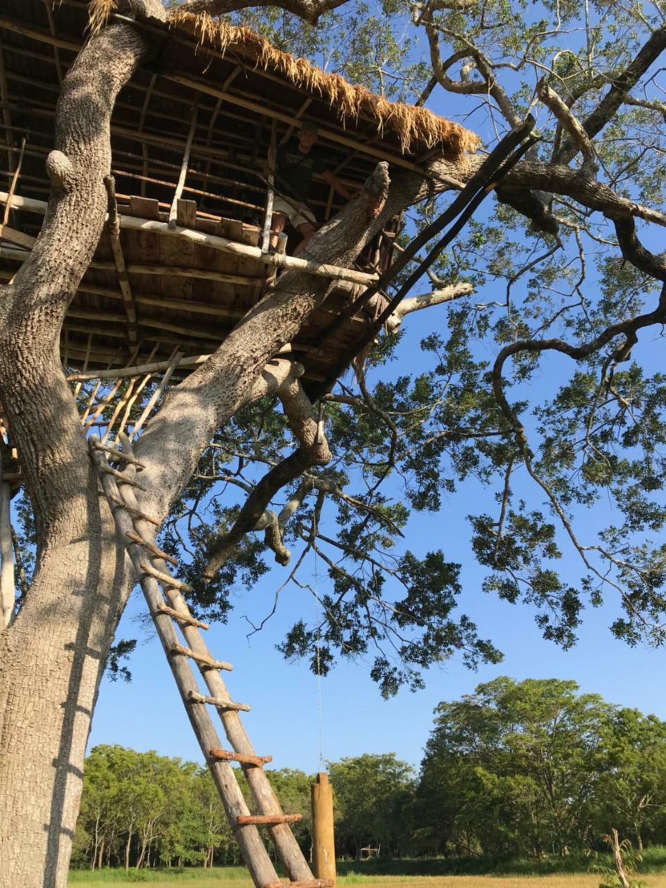 Galapita Eco Lodge Buttala Ngoại thất bức ảnh