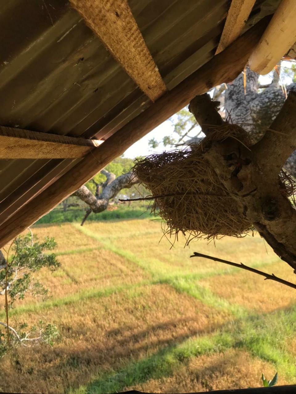Galapita Eco Lodge Buttala Ngoại thất bức ảnh