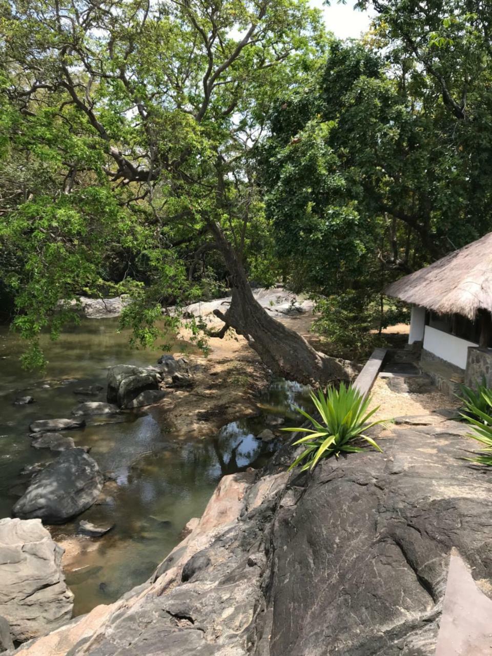 Galapita Eco Lodge Buttala Ngoại thất bức ảnh