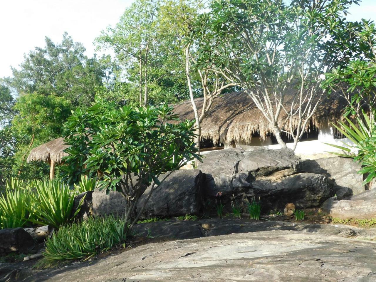 Galapita Eco Lodge Buttala Ngoại thất bức ảnh