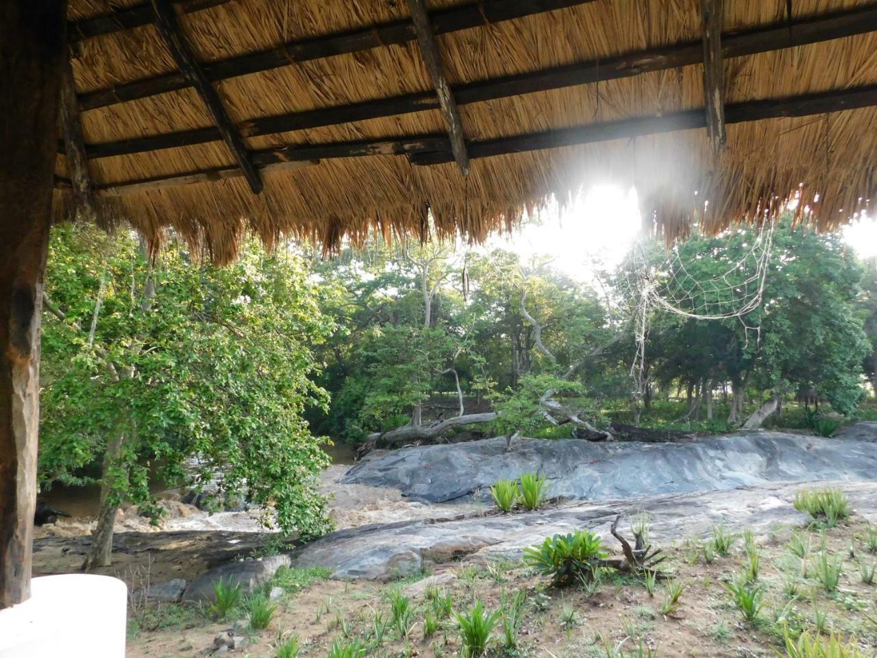 Galapita Eco Lodge Buttala Phòng bức ảnh
