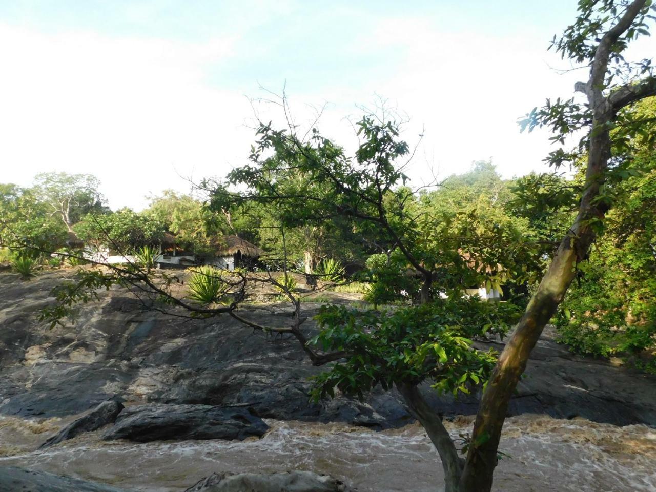Galapita Eco Lodge Buttala Phòng bức ảnh