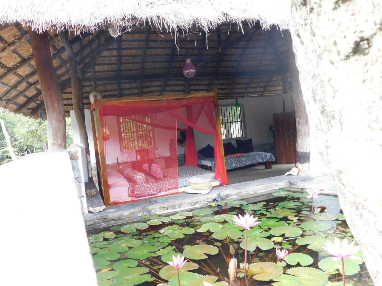 Galapita Eco Lodge Buttala Ngoại thất bức ảnh
