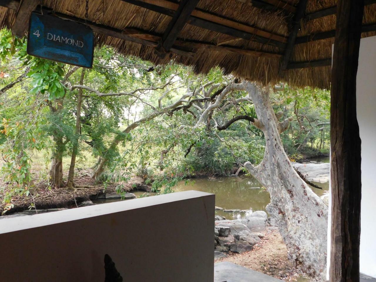 Galapita Eco Lodge Buttala Phòng bức ảnh