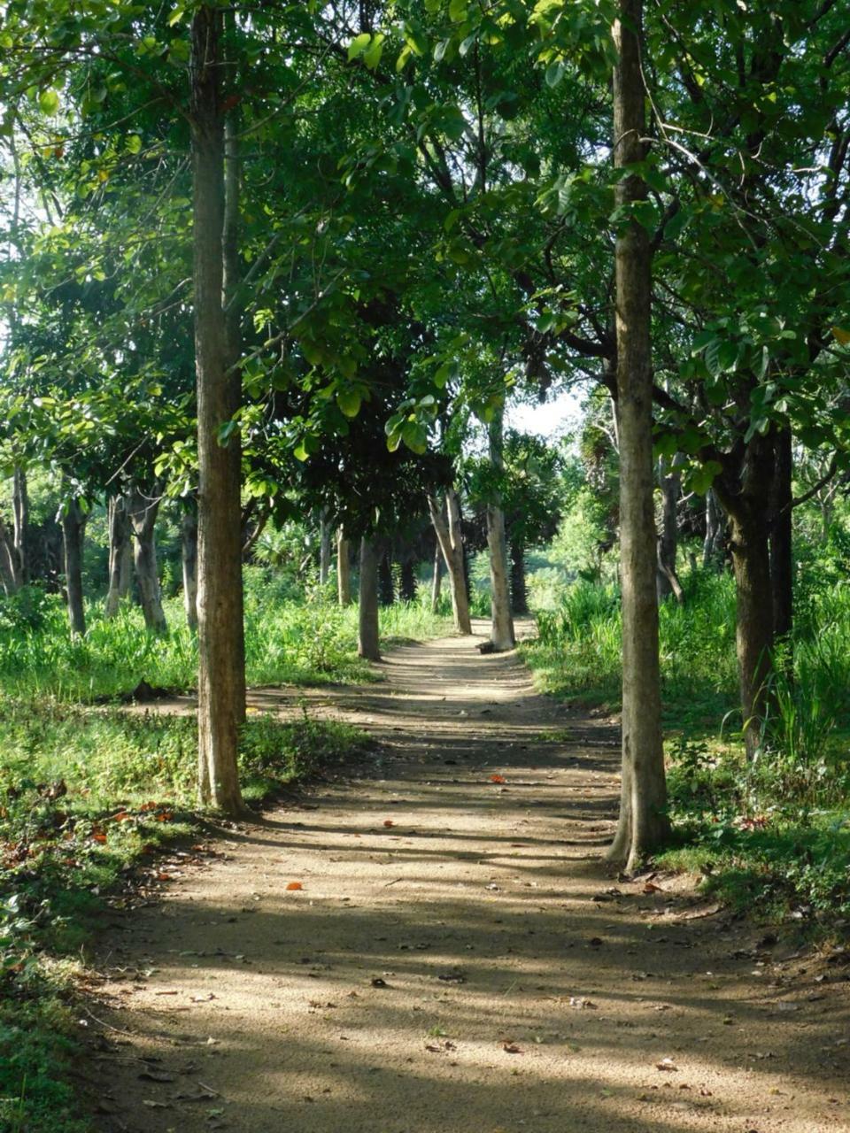 Galapita Eco Lodge Buttala Ngoại thất bức ảnh