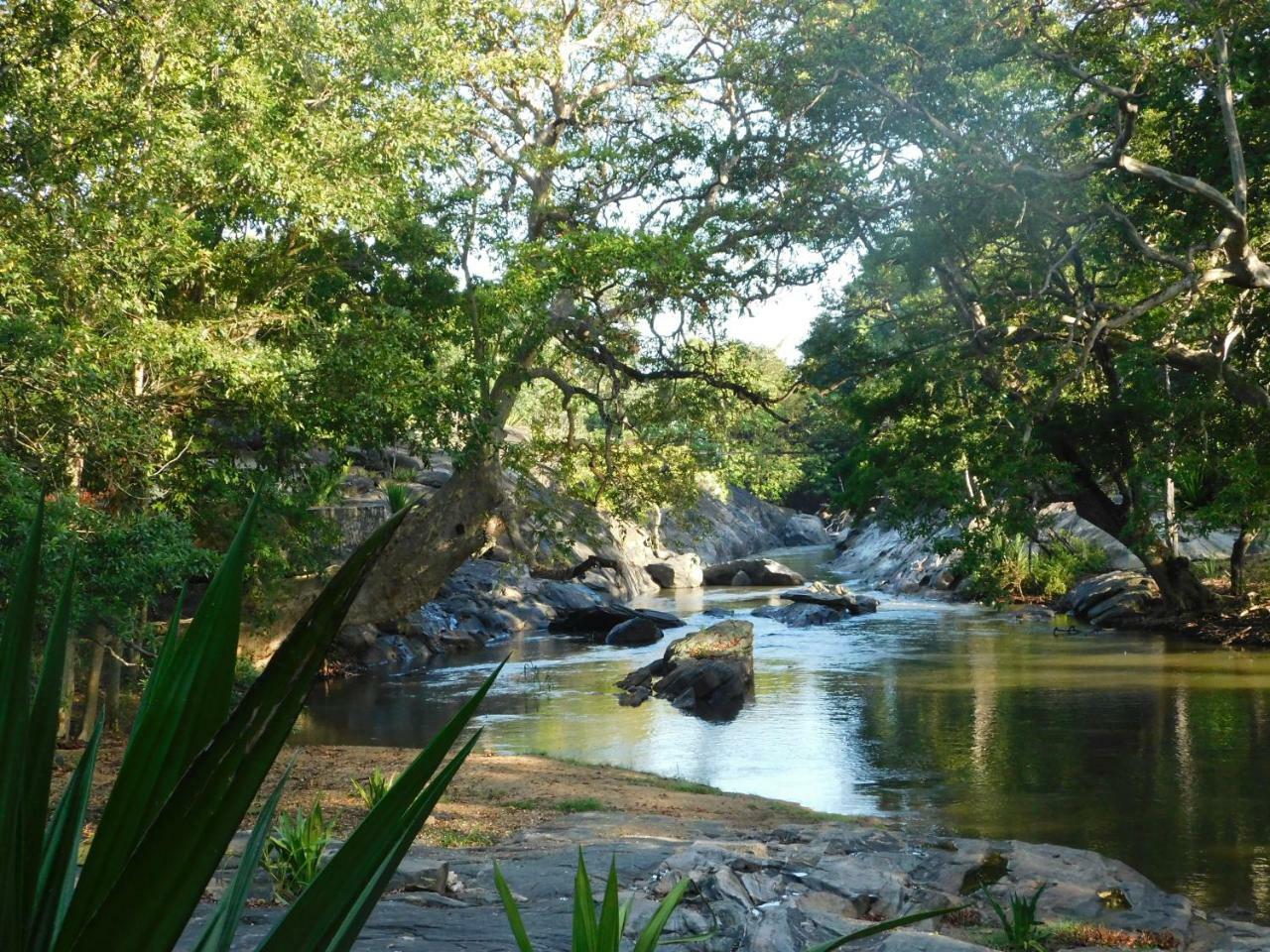 Galapita Eco Lodge Buttala Ngoại thất bức ảnh